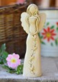 IMG_20260527_1656386a1806b1287ac